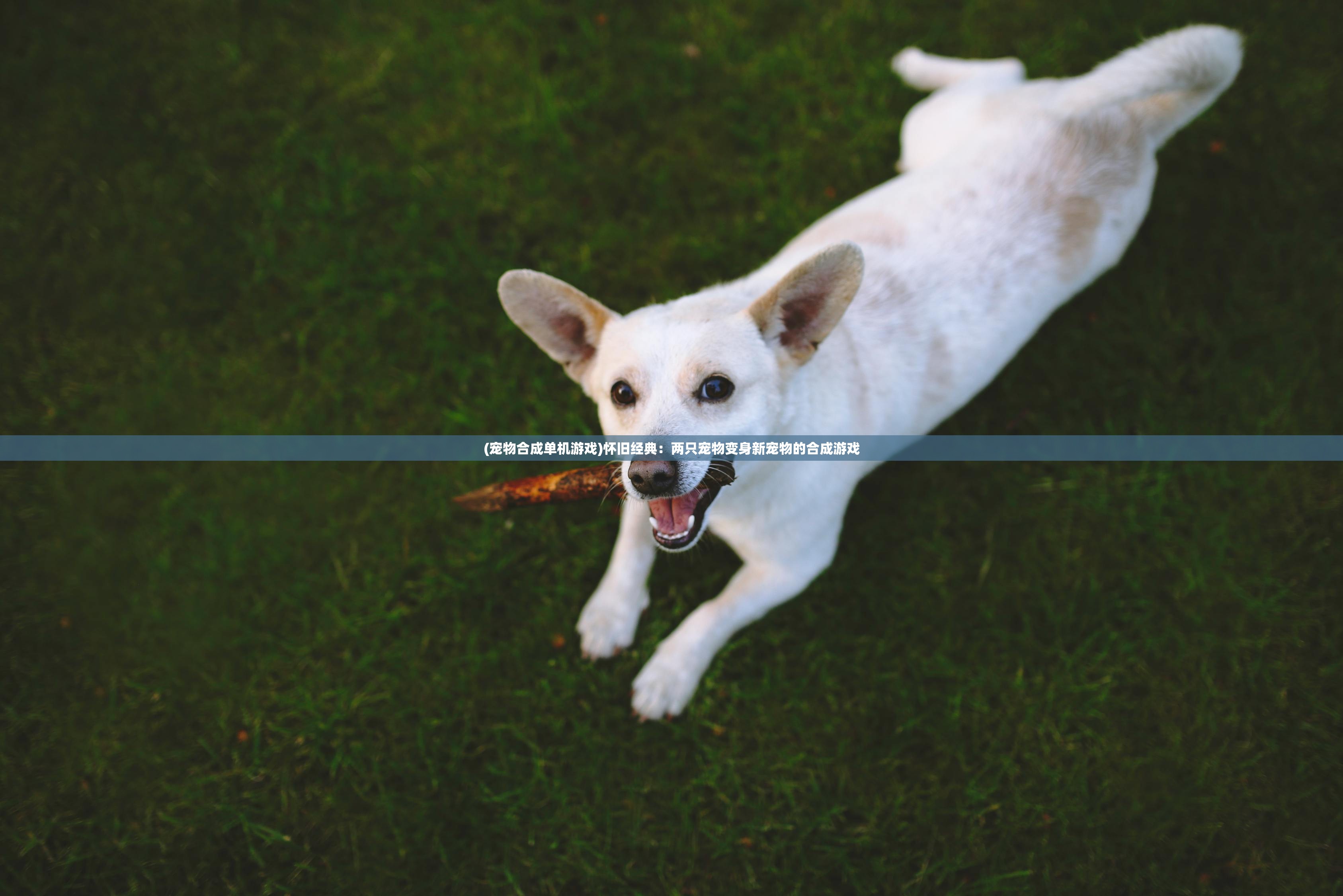 2024澳门天天开好彩大全19期|前沿研究解释落实_SR.6.647 2024澳门天天开好彩大全19期|前沿研究解释落实_SR.6.647