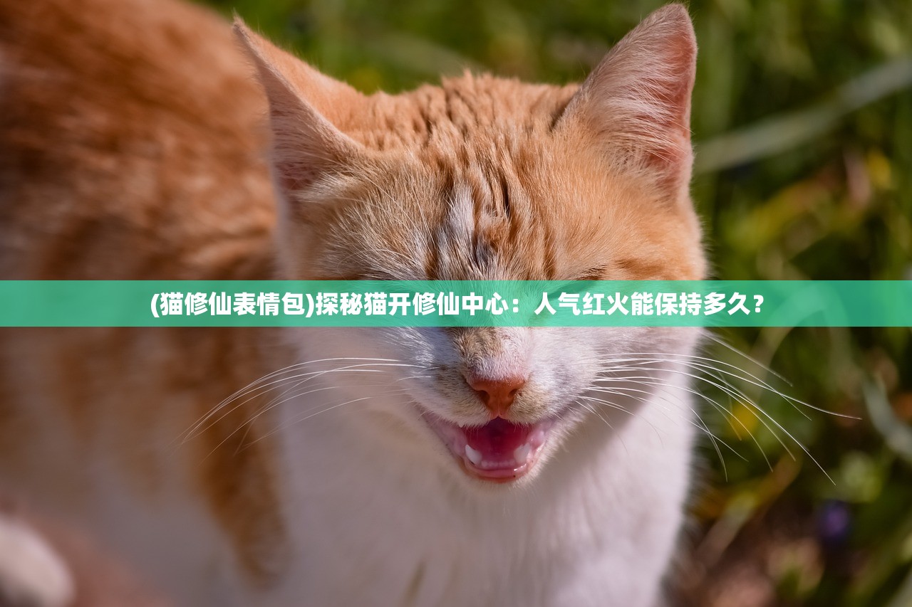 (猫修仙表情包)探秘猫开修仙中心：人气红火能保持多久？