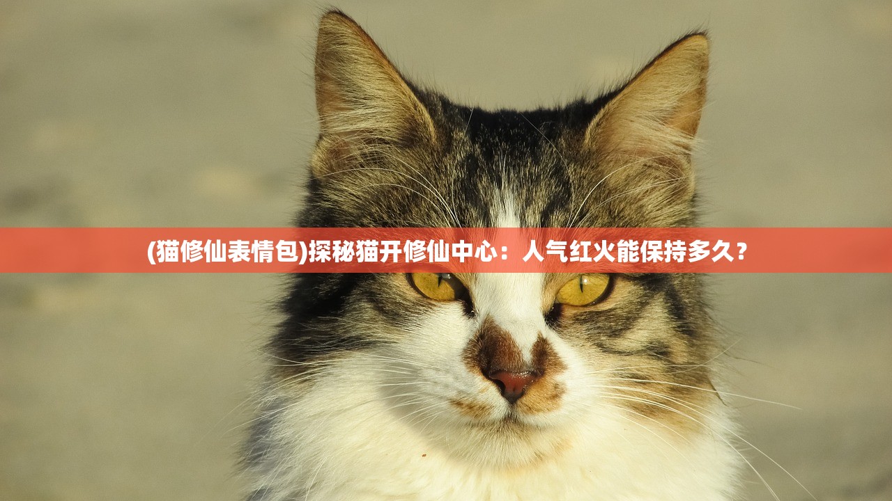 (猫修仙表情包)探秘猫开修仙中心：人气红火能保持多久？