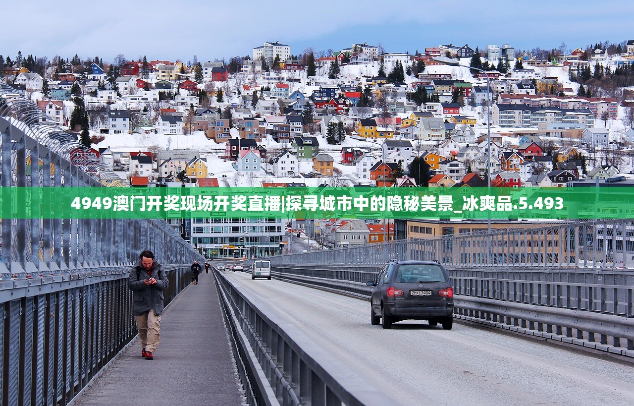 (三国:开局大秦铁骑)三国开局三万大秦铁骑，英雄崛起与战略挑战