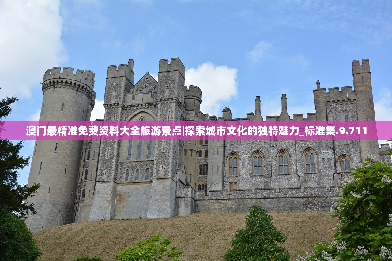 (致命追逐手游国际服)致命追逐国际服，竞技与冒险的跨界体验