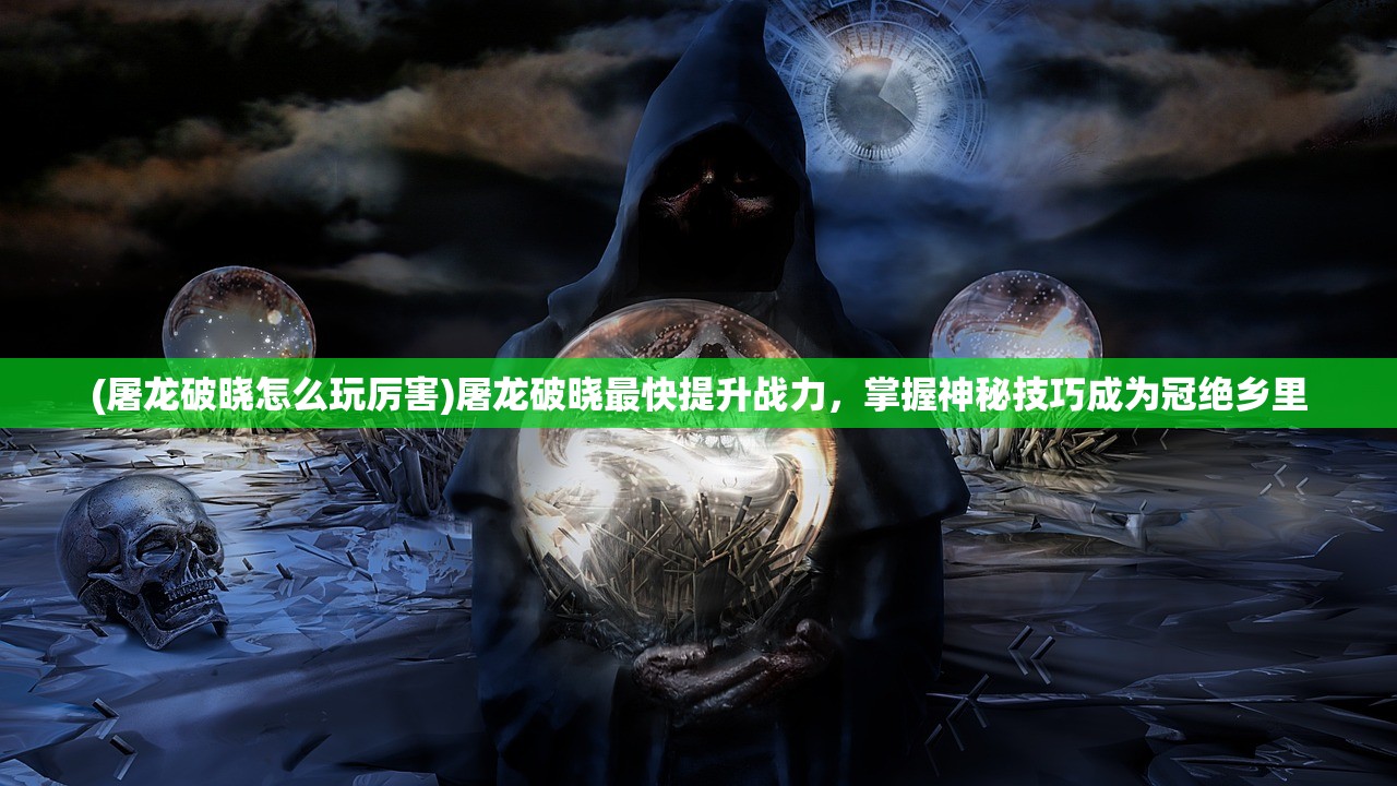 (纳萨力克之王)纳萨力克，深入探究与常见问题解答