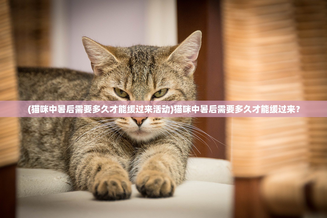 (萌神战姬停服了嘛)萌神战姬停服,深度分析与展望 (萌神战姬停服了嘛)萌神战姬停服,深度分析与展望