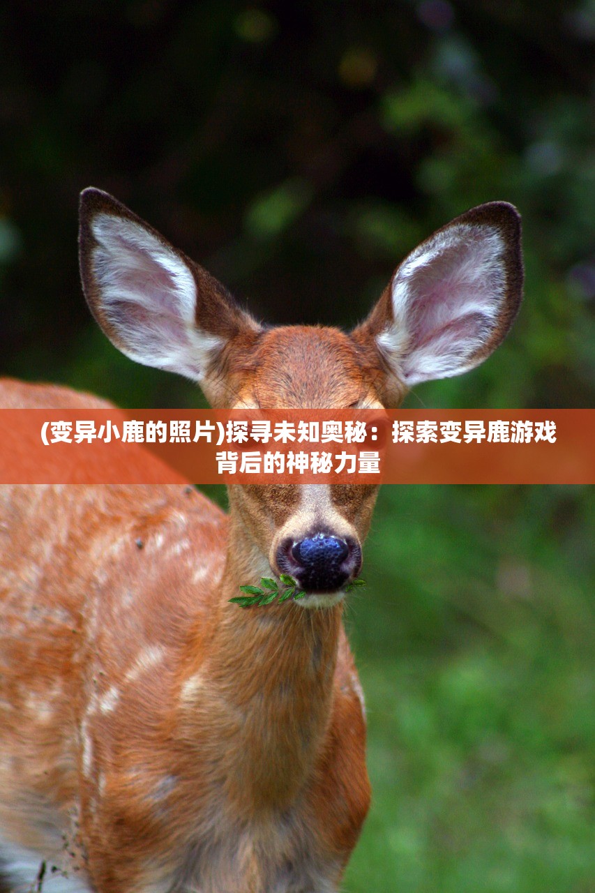 (逍遥调九重天)逍遥九重天光明成就获取攻略，一步步迈向巅峰