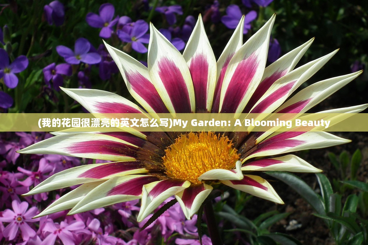 (我的花园很漂亮的英文怎么写)My Garden: A Blooming Beauty