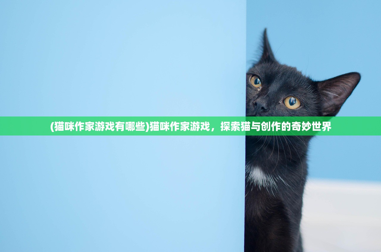 (猫咪作家游戏有哪些)猫咪作家游戏，探索猫与创作的奇妙世界