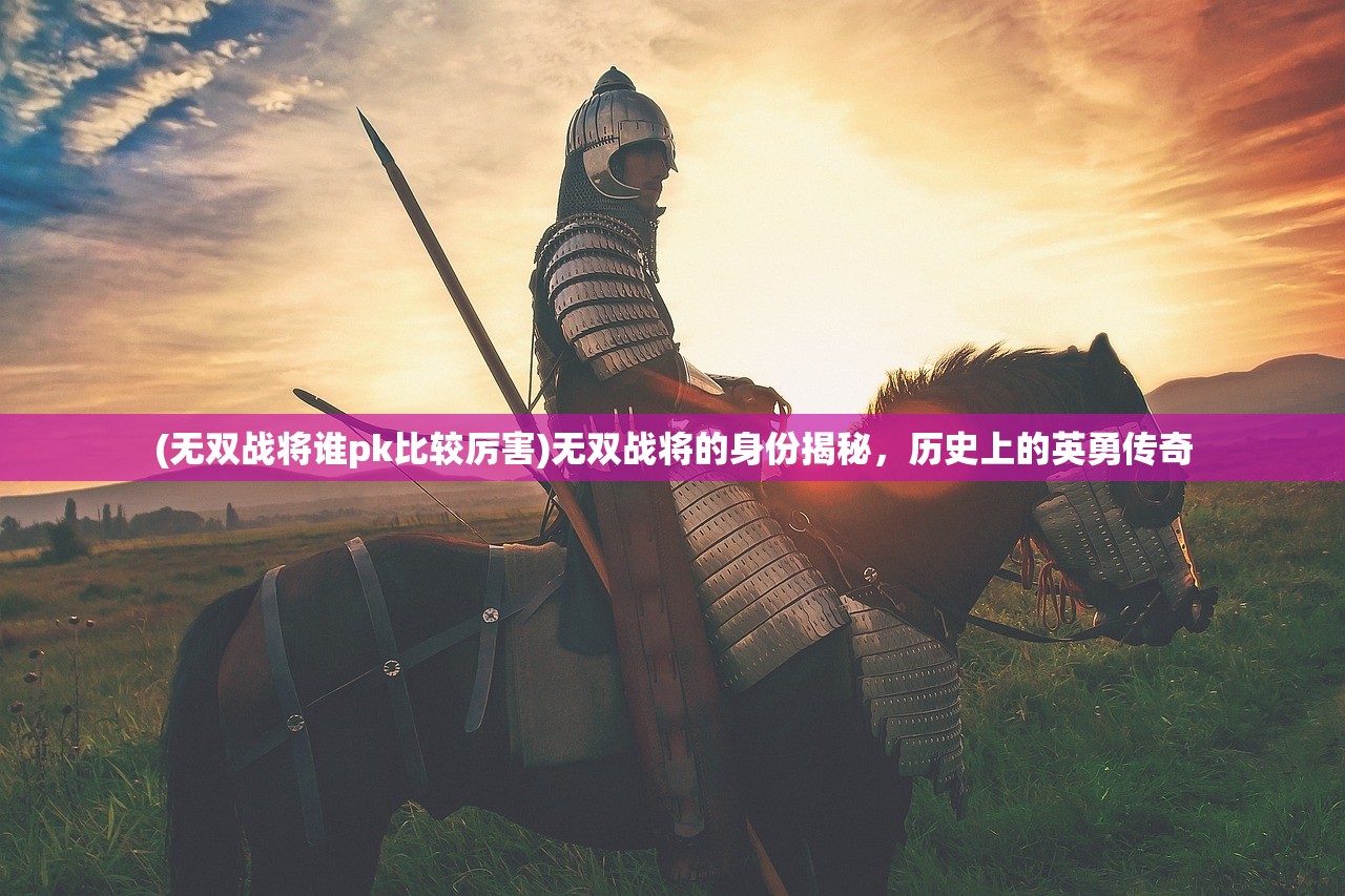 (无双战将谁pk比较厉害)无双战将的身份揭秘,历史上的英勇传奇 (无双战将谁pk比较厉害)无双战将的身份揭秘,历史上的英勇传奇