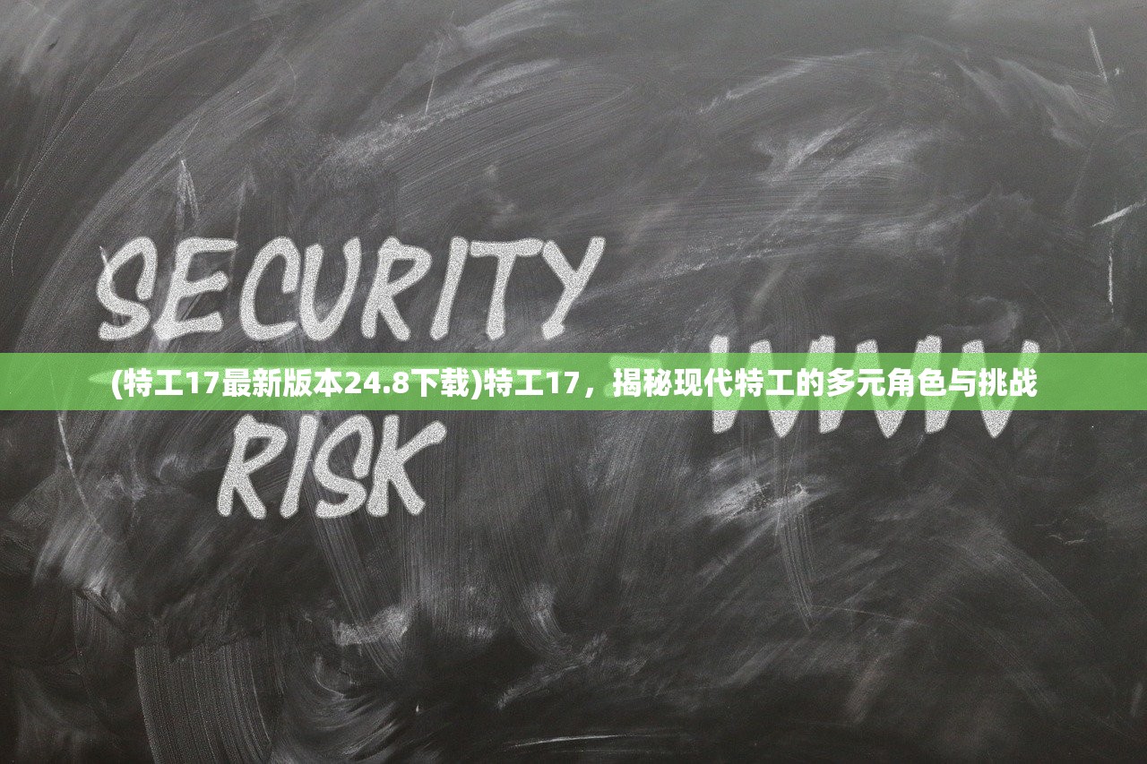 (特工17最新版本24.8下载)特工17，揭秘现代特工的多元角色与挑战