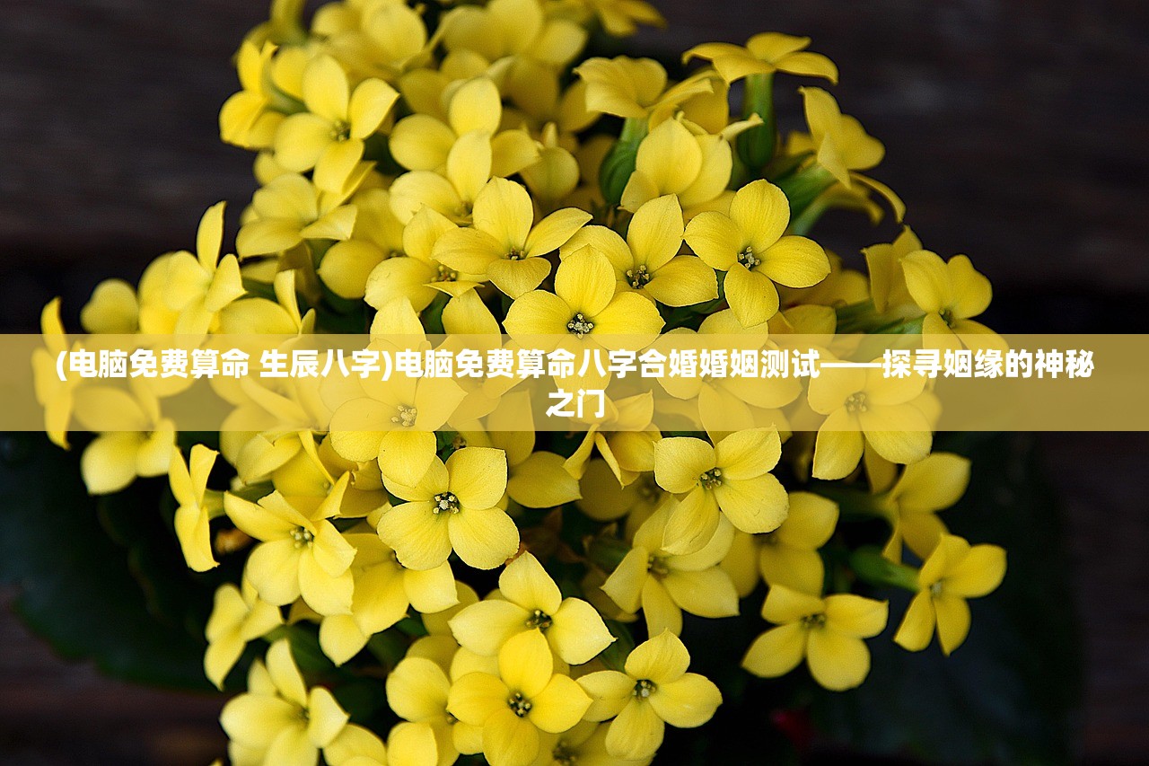 (电脑免费算命 生辰八字)电脑免费算命八字合婚婚姻测试——探寻姻缘的神秘之门 (电脑免费算命 生辰八字)电脑免费算命八字合婚婚姻测试——探寻姻缘的神秘之门