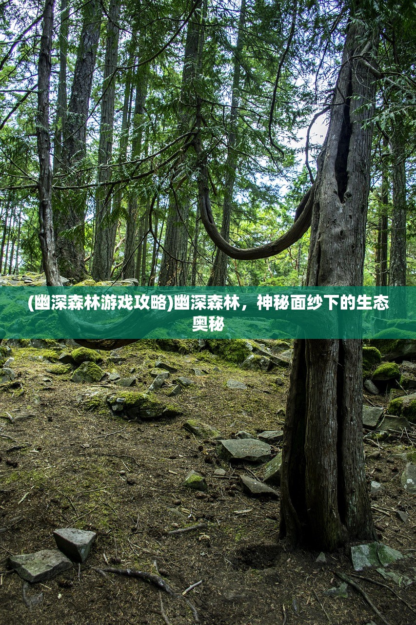 (鹿鼎记1983版未删节免费观看)鹿鼎记1983版未删节，经典重现与深度解读