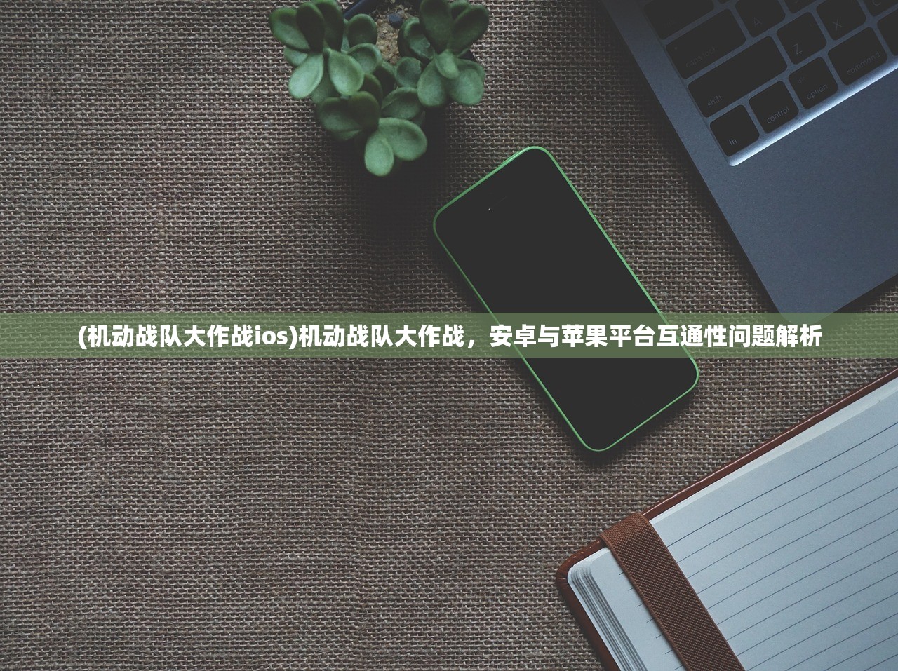 (止戈为武,天下虽安,忘战必危)止戈为武，中国传统文化的深度解读