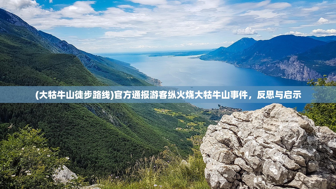 (怼怼梦三国张郃)怼怼梦三国，张松挑战策略解析与常见问答