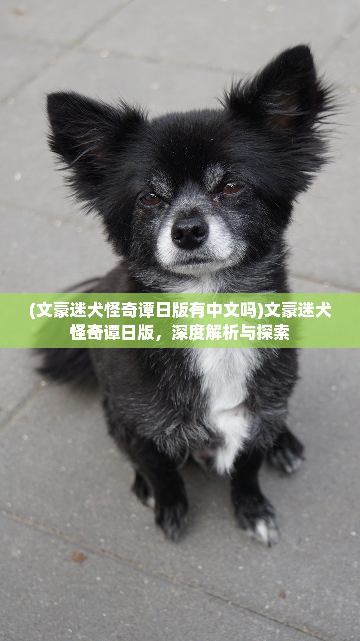 (文豪迷犬怪奇谭日版有中文吗)文豪迷犬怪奇谭日版，深度解析与探索