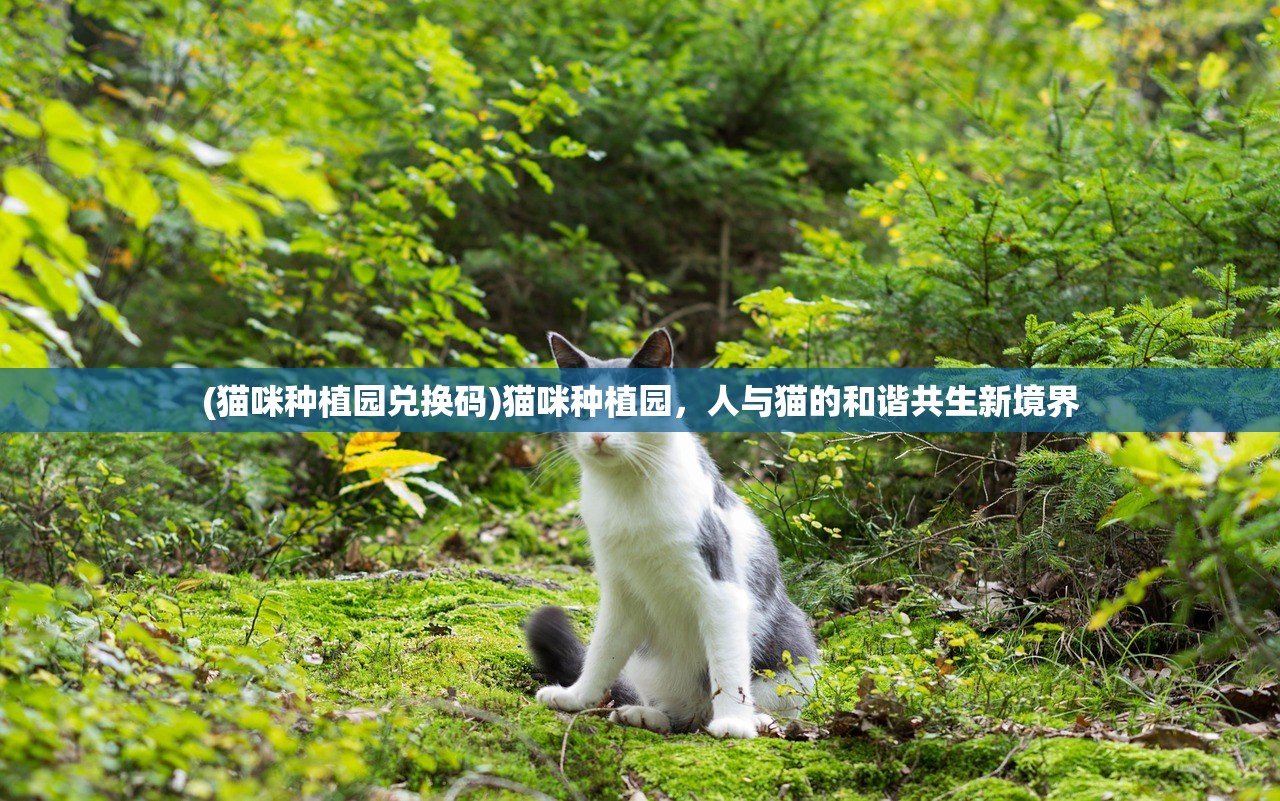 (猫咪种植园兑换码)猫咪种植园，人与猫的和谐共生新境界