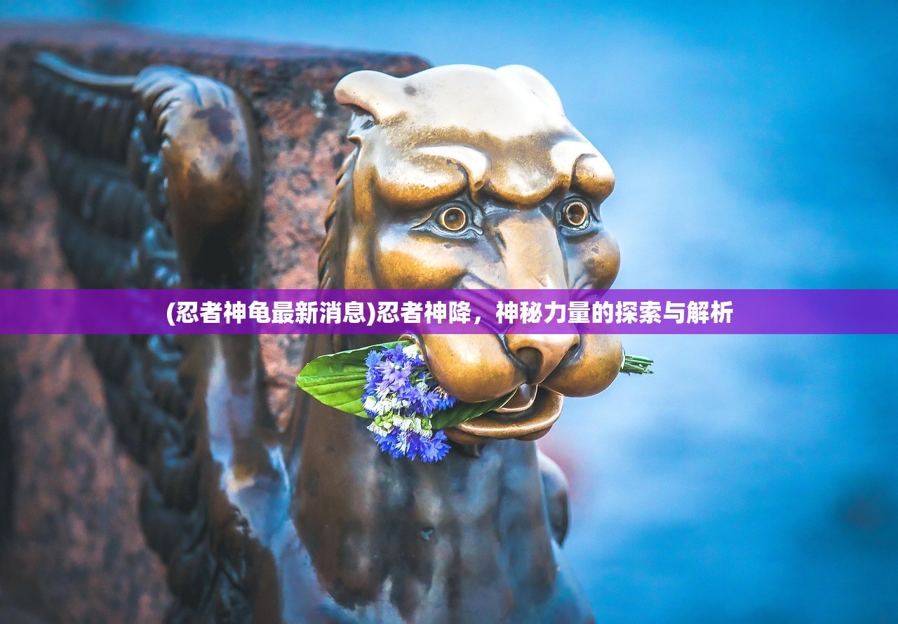 (忍者神龟最新消息)忍者神降，神秘力量的探索与解析