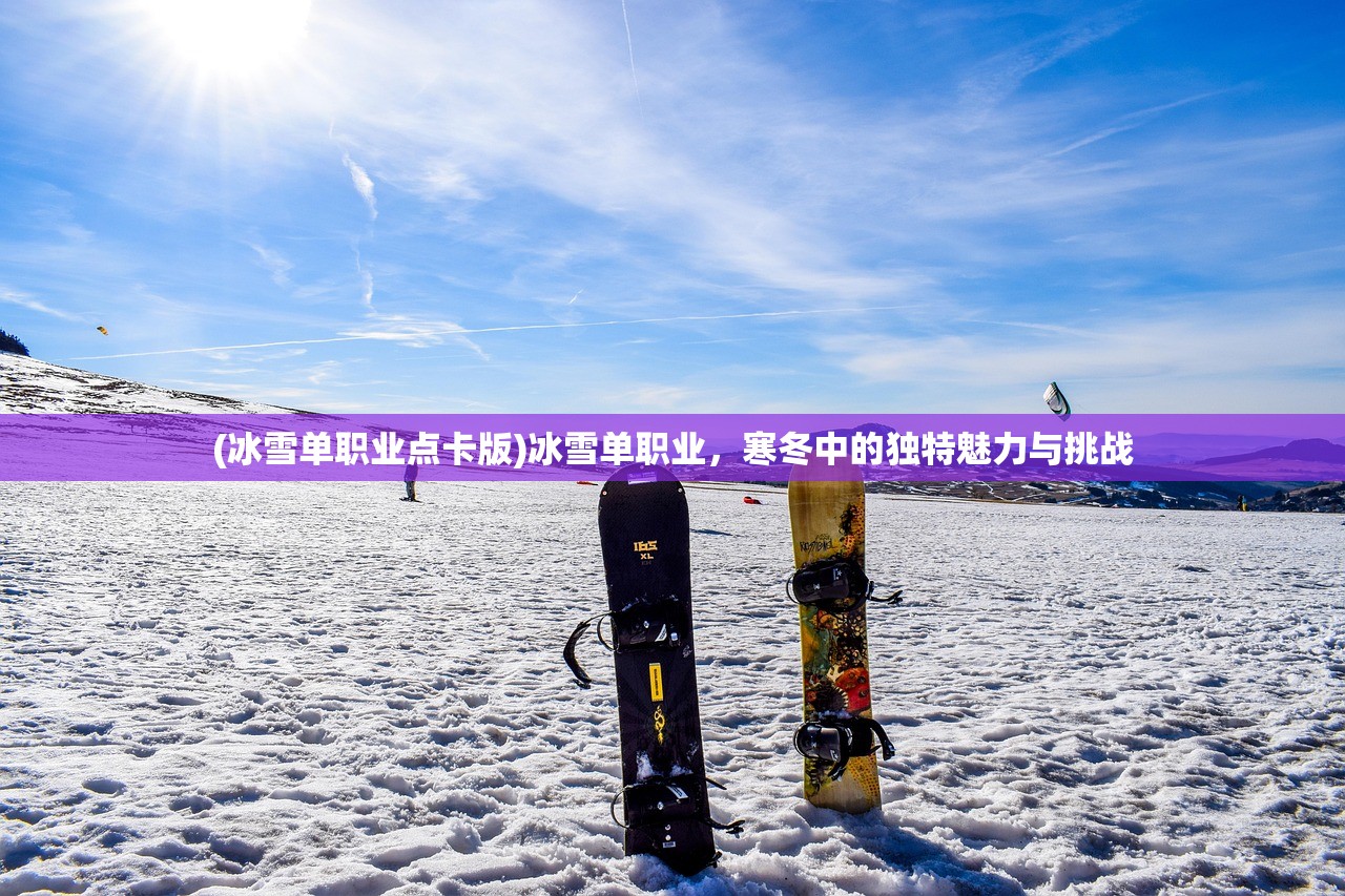 (冰雪单职业点卡版)冰雪单职业，寒冬中的独特魅力与挑战