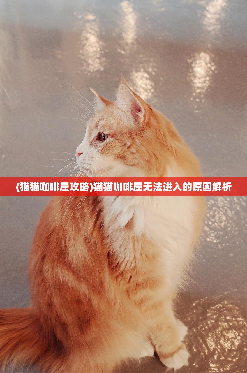 (猫猫咖啡屋攻略)猫猫咖啡屋无法进入的原因解析