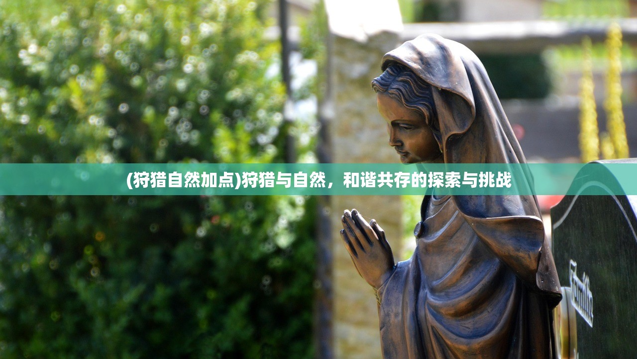 (三国演义单机版破解版下载)三国演义单机版破解版，历史与策略的完美融合