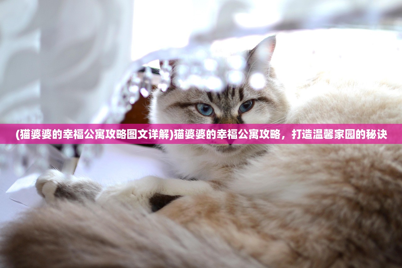 (猫婆婆的幸福公寓攻略图文详解)猫婆婆的幸福公寓攻略，打造温馨家园的秘诀