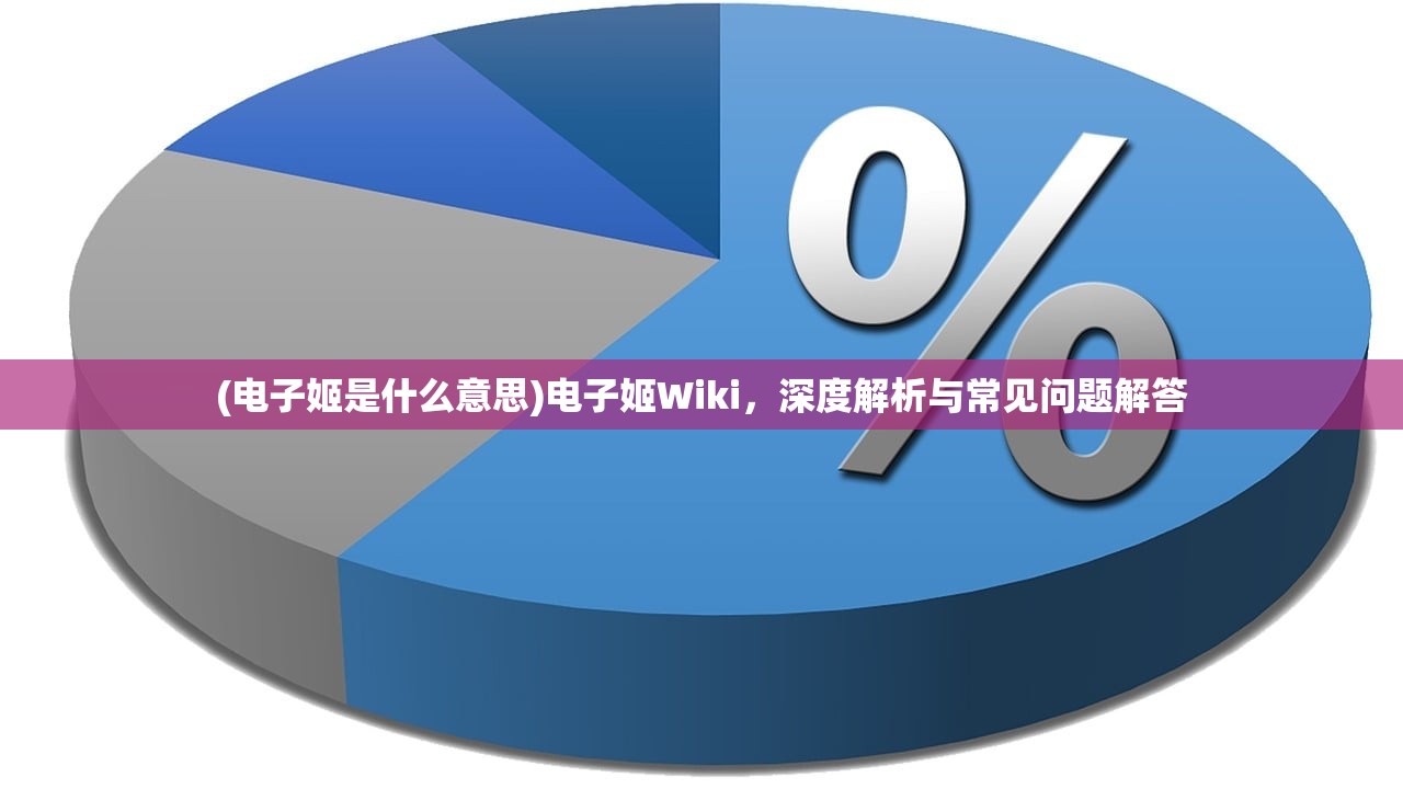 (电子姬是什么意思)电子姬Wiki，深度解析与常见问题解答