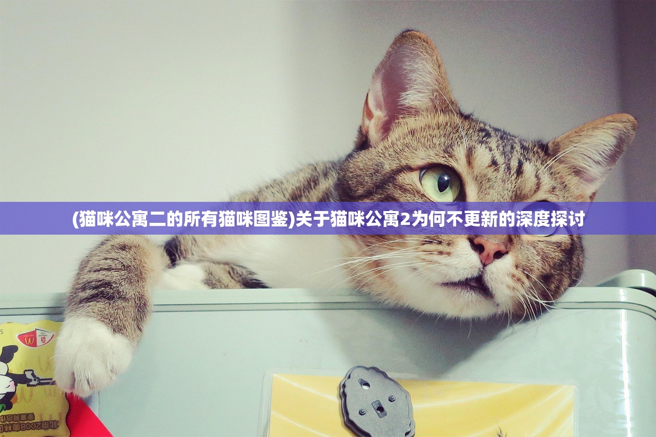 (猫咪公寓二的所有猫咪图鉴)关于猫咪公寓2为何不更新的深度探讨