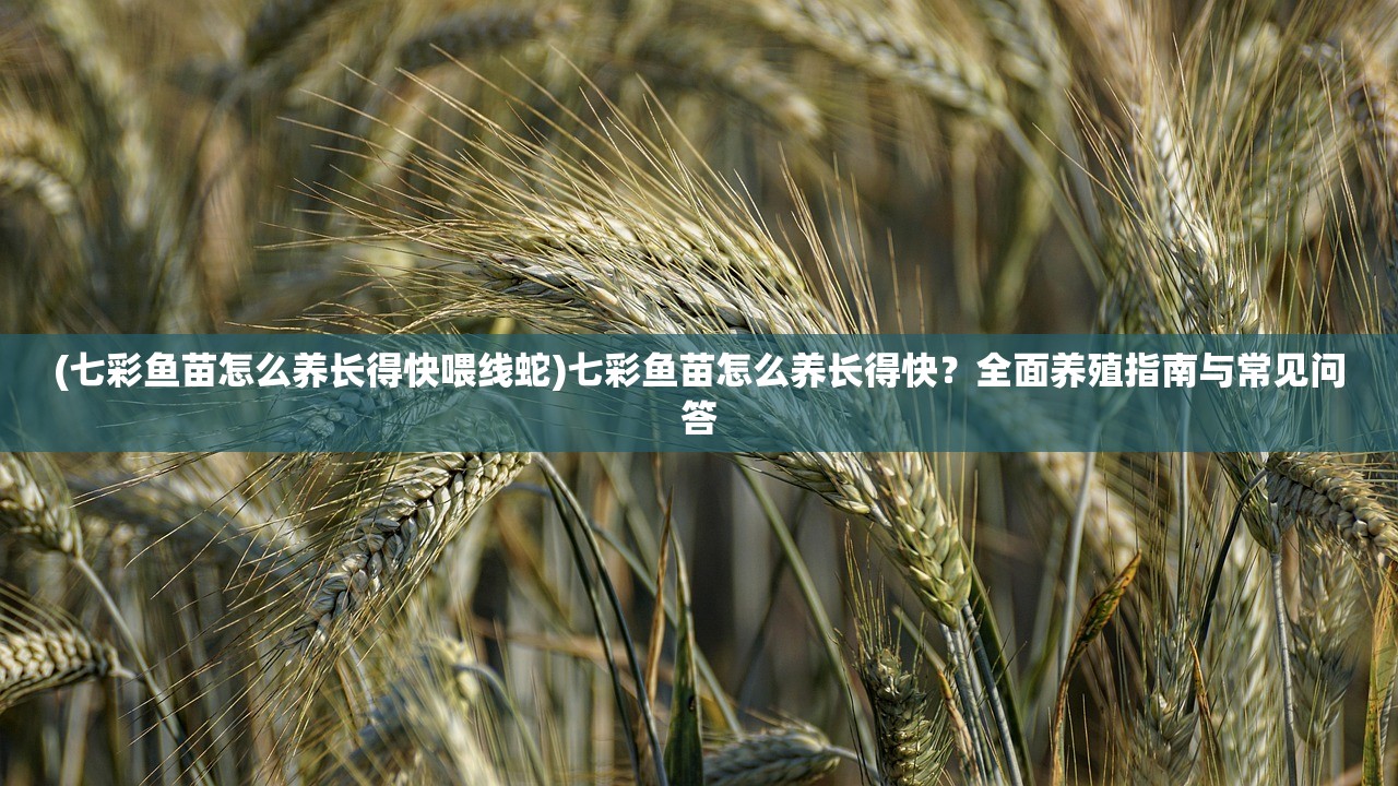 (七彩鱼苗怎么养长得快喂线蛇)七彩鱼苗怎么养长得快?全面养殖指南与常见问答 (七彩鱼苗怎么养长得快喂线蛇)七彩鱼苗怎么养长得快?全面养殖指南与常见问答