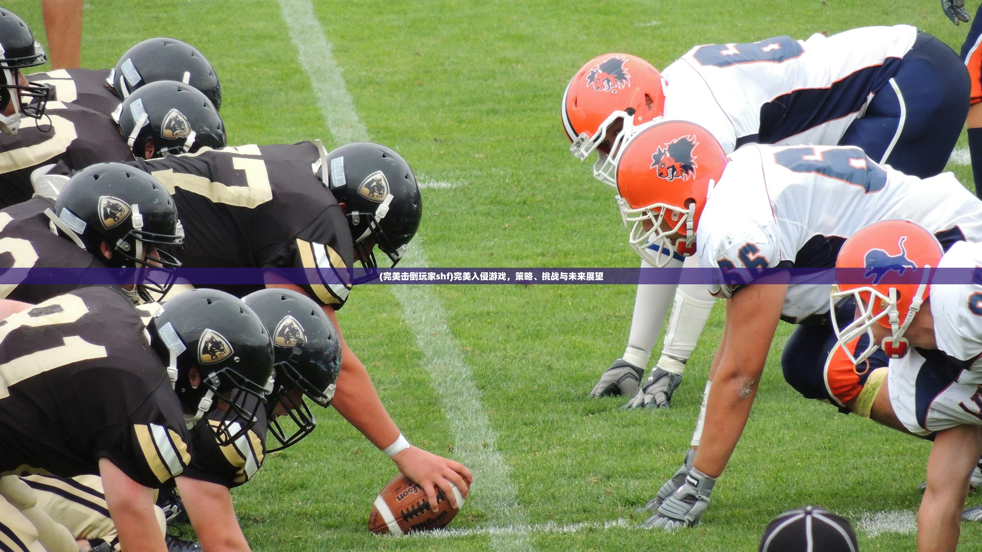 (完美击倒玩家shf)完美入侵游戏，策略、挑战与未来展望