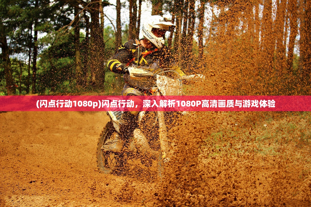 (闪点行动1080p)闪点行动,深入解析1080P高清画质与游戏体验 (闪点行动1080p)闪点行动,深入解析1080P高清画质与游戏体验