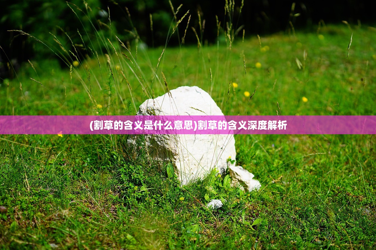 (割草的含义是什么意思)割草的含义深度解析 (割草的含义是什么意思)割草的含义深度解析