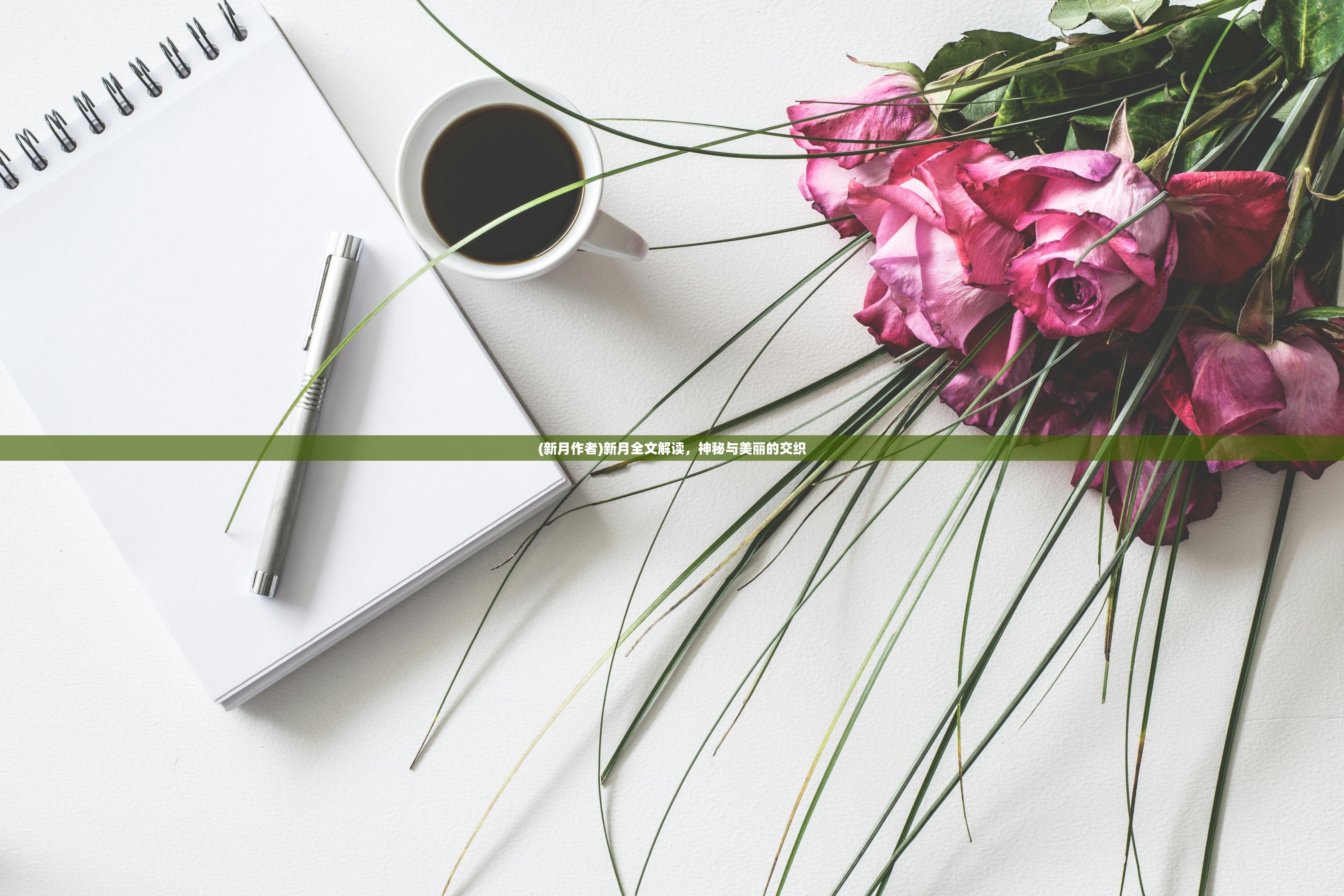 (新月作者)新月全文解读,神秘与美丽的交织 (新月作者)新月全文解读,神秘与美丽的交织