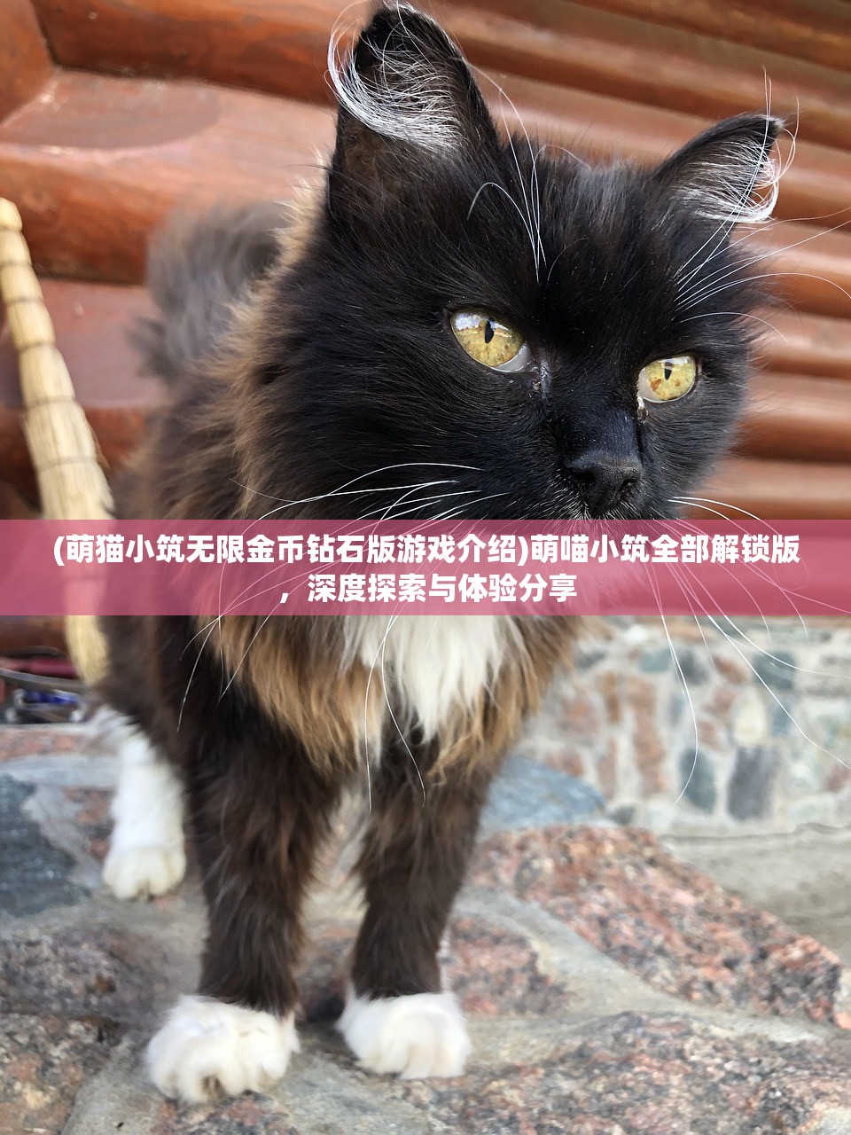 (萌猫小筑无限金币钻石版游戏介绍)萌喵小筑全部解锁版，深度探索与体验分享