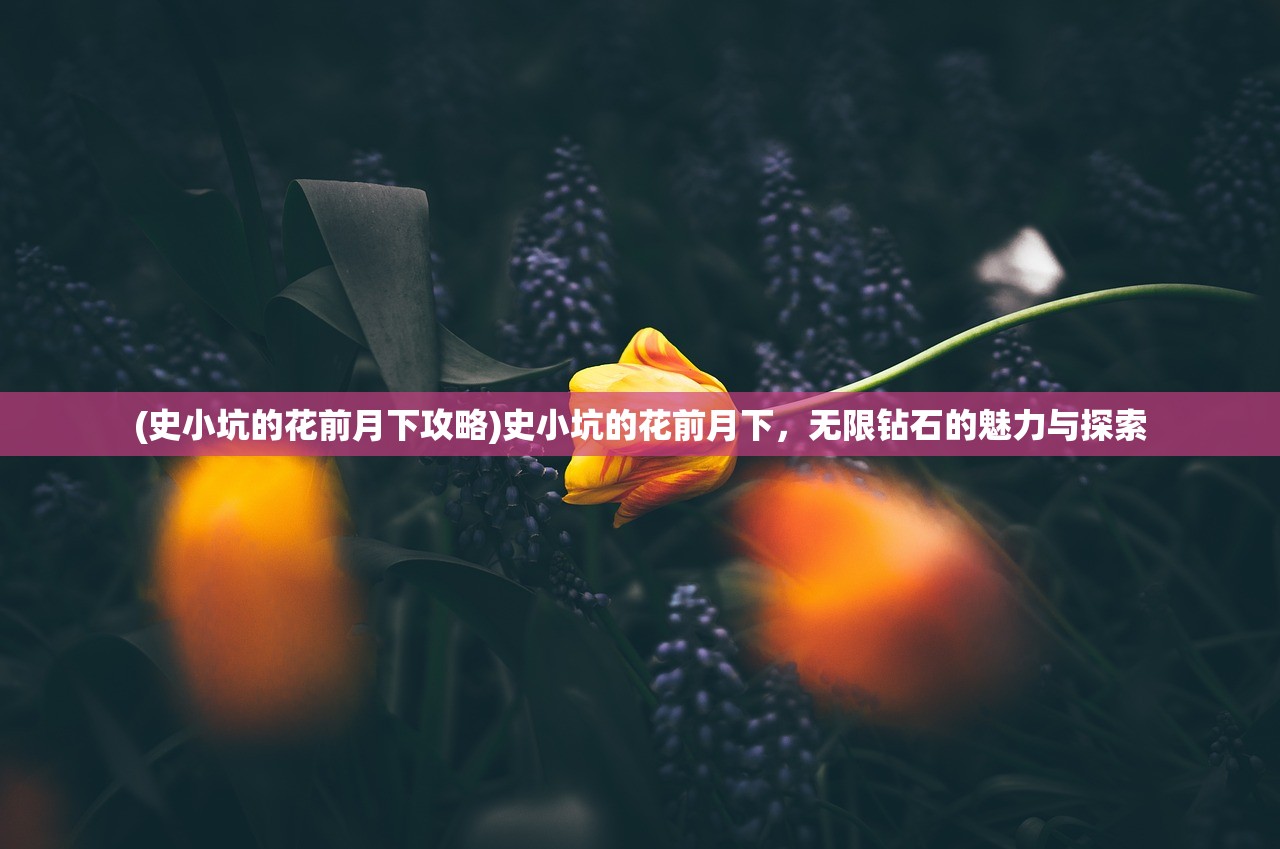 (史小坑的花前月下攻略)史小坑的花前月下，无限钻石的魅力与探索